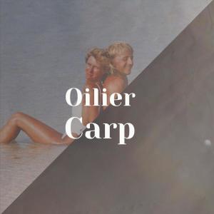 Various的专辑Oilier Carp