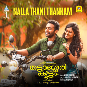 Listen to Nalla Thani Thankam (From "Thattassery Koottam") song with lyrics from Nandhu Kartha