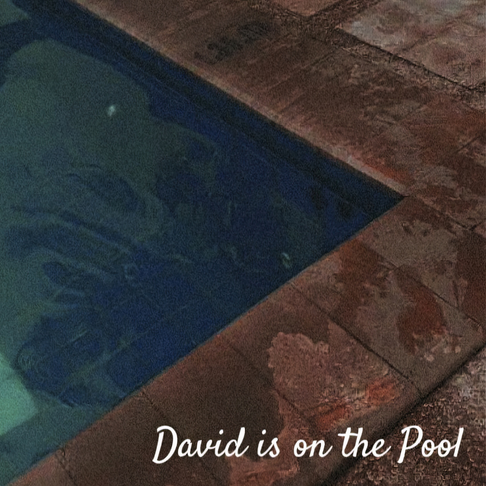 David Is on the Pool