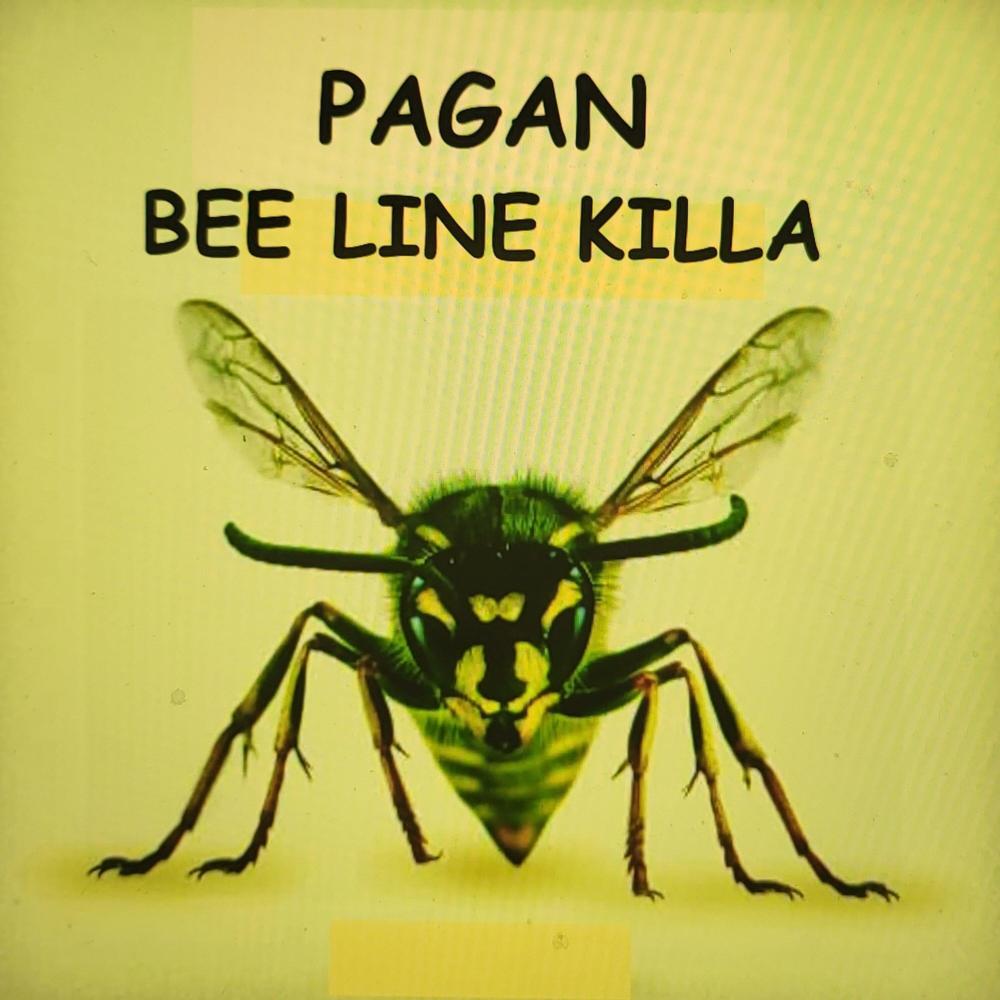 Bee Line Killa