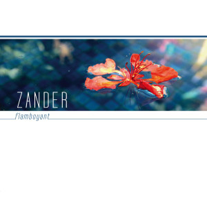 Listen to Tem Que song with lyrics from Zander