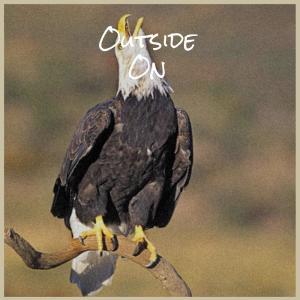 Dengarkan Bump Turd lagu dari Chabert Lerry dengan lirik