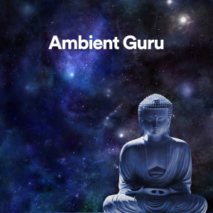 Album Ambient Guru from Ambientalism