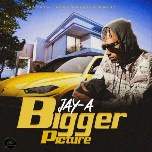 Dengarkan Bigger Picture lagu dari Jay-A dengan lirik