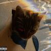 default album img