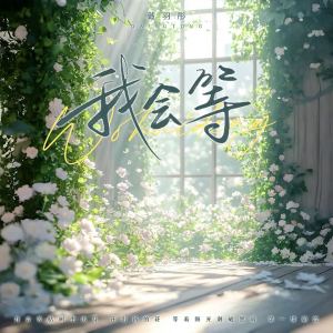 Album 我会等 oleh 戴羽彤