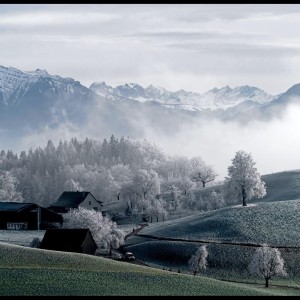 Listen to Anxiety Free song with lyrics from Spa Music Relaxation