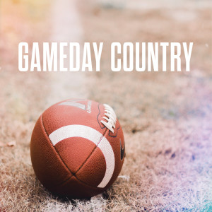 Various Artists的專輯Gameday Country