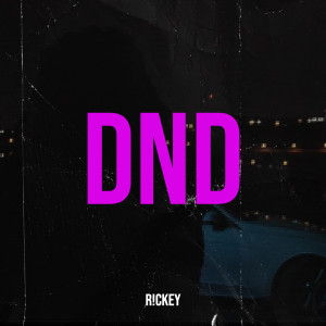 Listen to Dnd (Explicit) song with lyrics from R!CKEY