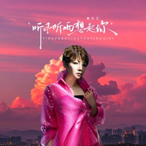 魏佳艺的专辑听风听雨想起你(DJEVA版)