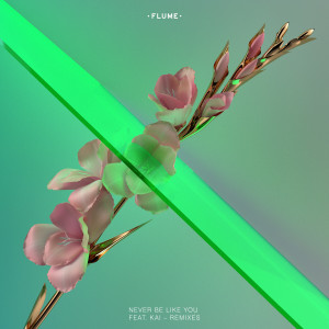 ดาวน์โหลดและฟังเพลง Never Be Like You (Teengirl Fantasy Remix) พร้อมเนื้อเพลงจาก Flume