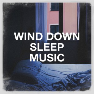 Wind Down Sleep Music