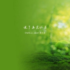 Listen to 当你说了再见以后 (cover: 林凡Freya) (完整版) song with lyrics from SHaNE_Z