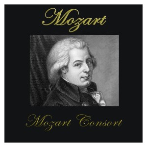 ดาวน์โหลดและฟังเพลง Sonata No. 16 C Major (Sonata Facile) , Kv 545 II. Andante พร้อมเนื้อเพลงจาก Mozart Consort