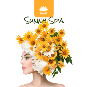 Dengarkan Spa, Massage Ambient lagu dari Tranquility Spa Universe dengan lirik