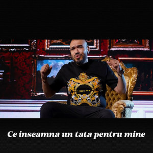 Listen to Ce inseamna un tata pentru mine (Live) song with lyrics from Narcis de la Barbulesti