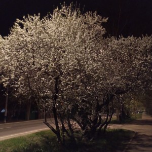 Listen to summer song with lyrics from B0untY