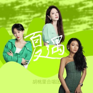 收听胡桃里合唱团的夏遇歌词歌曲