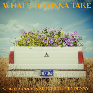 Album What's It Gonna Take from Mitchell Tenpenny