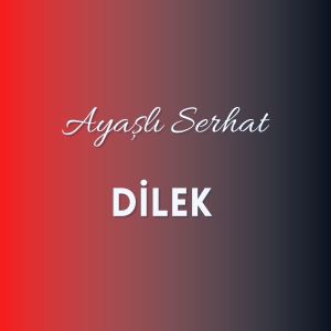 Listen to Dilek song with lyrics from Ayaşlı Serhat