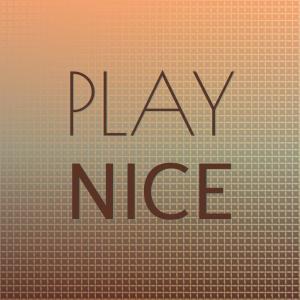 Various Artists的專輯Play Nice