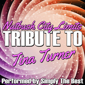 ดาวน์โหลดและฟังเพลง Nutbush City Limits พร้อมเนื้อเพลงจาก Simply The Best