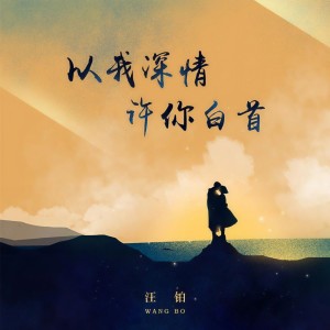 收聽汪鉑的以我深情 許你白首歌詞歌曲