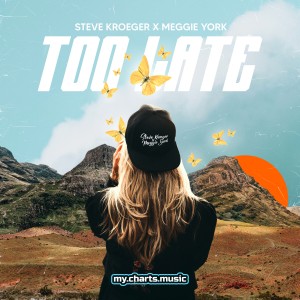 收聽Steve Kroeger的Too Late歌詞歌曲
