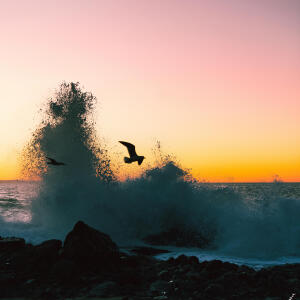 default playlist img