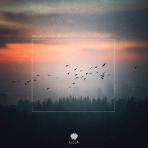 Album A Pause In the Noise from Astropilot