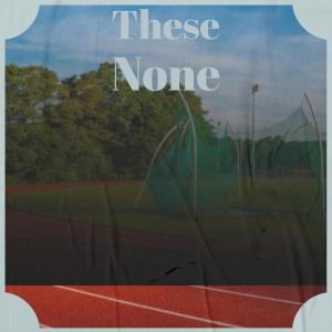 Various的专辑These None