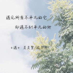Listen to 遇 (完整版) song with lyrics from 大成