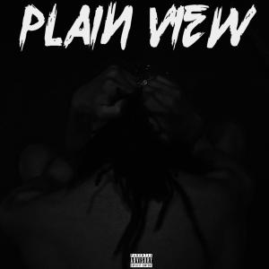 ดาวน์โหลดและฟังเพลง Plain View (Explicit) พร้อมเนื้อเพลงจาก Yesh