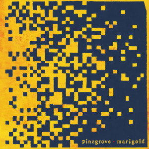收聽Pinegrove的Alcove歌詞歌曲