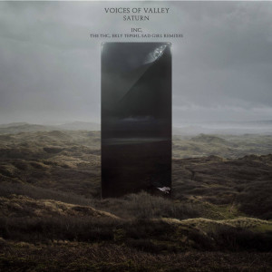 收听Voices of valley的Aquila (Sad Girl Remix)歌词歌曲