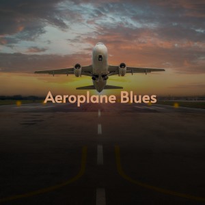 收听Robert Nighthawk的Annie Lee Blues歌词歌曲