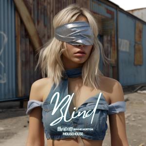 Album Blind (Mouse House Remix) from Fifi Von Dorp