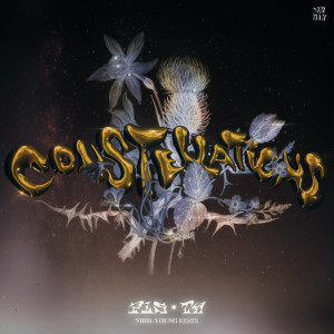 ดาวน์โหลดและฟังเพลง Constellations (Nihil Young Remix) พร้อมเนื้อเพลงจาก PLS&TY