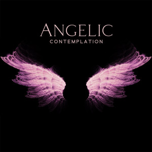 Album Angelic Contemplation (Background Music for Bible Study with Angel Choirs, Archangel Spiritual Protection, Prayer Sounds) from Bible Study Music