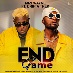 Listen to End Game song with lyrics from Mizi Wayne