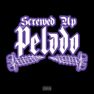 Album Screwed up Pelado (Explicit) from Renizance