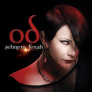 Listen to Bin Yıldır song with lyrics from Şebnem Ferah