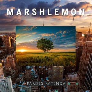 Listen to Pardes Katenda song with lyrics from Marshlemon