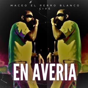 收聽maceo el perro blanco live的en averia (live)歌詞歌曲