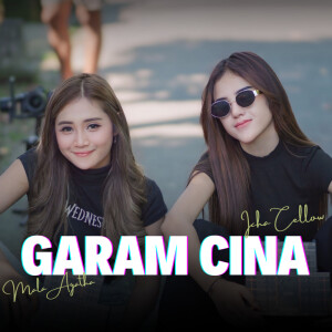 Mala Agatha的专辑Garam Cina (Remix)