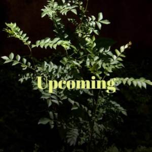 Listen to Upcoming song with lyrics from Bato Bral