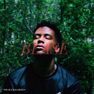 收聽Princeaubrey的Don't Like Me歌詞歌曲