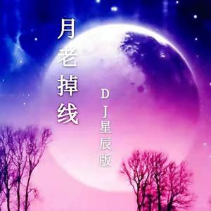Listen to 月老掉線 (DJ星辰版) (DJ版) song with lyrics from 你的星辰y