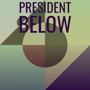 อัลบัม President Below ศิลปิน Various