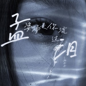 楊丹丹的專輯孟婆湯是你流過的淚